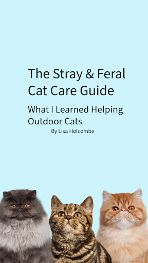 The Stray and Feral Cat Care Guide